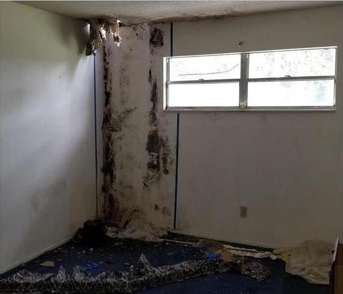 Room in a home with a collapsed ceiling and mold 